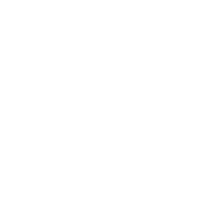Shield Icon
